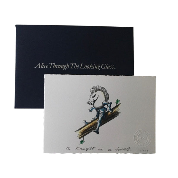 Through a Looking Glass Darkly by Jake Fior - Limited Edition 125 copies, signed