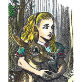 Through a Looking Glass Darkly by Jake Fior- Main Edition available to order now.