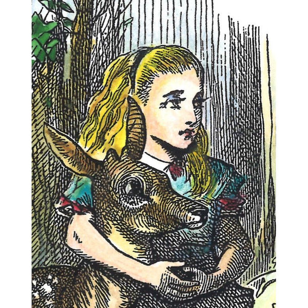 Through a Looking Glass Darkly by Jake Fior - Limited Edition 125 copies, signed