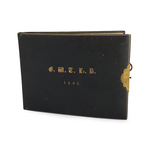 Metaphormosis - Alice Through The Looking Glass Art Commission -Brian Dettmer