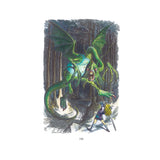 Through a Looking Glass Darkly by Jake Fior - Limited Edition 125 copies, signed